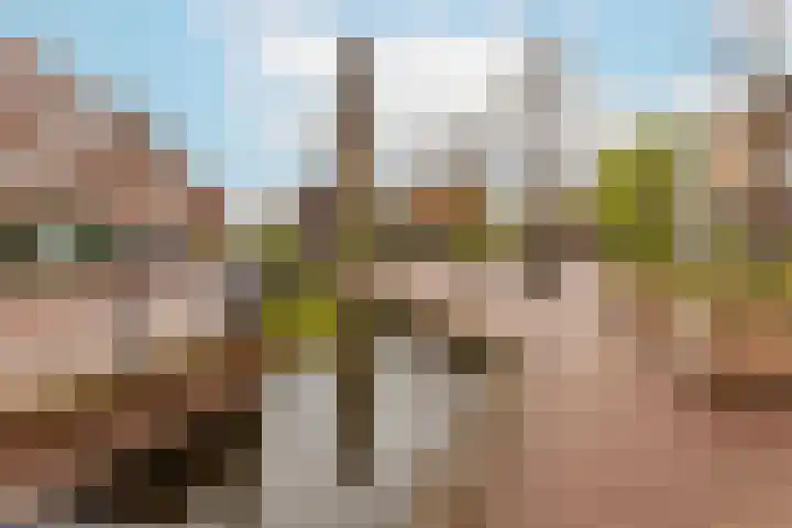 Bentinckstraat 3 Arnhem thumbnail 4