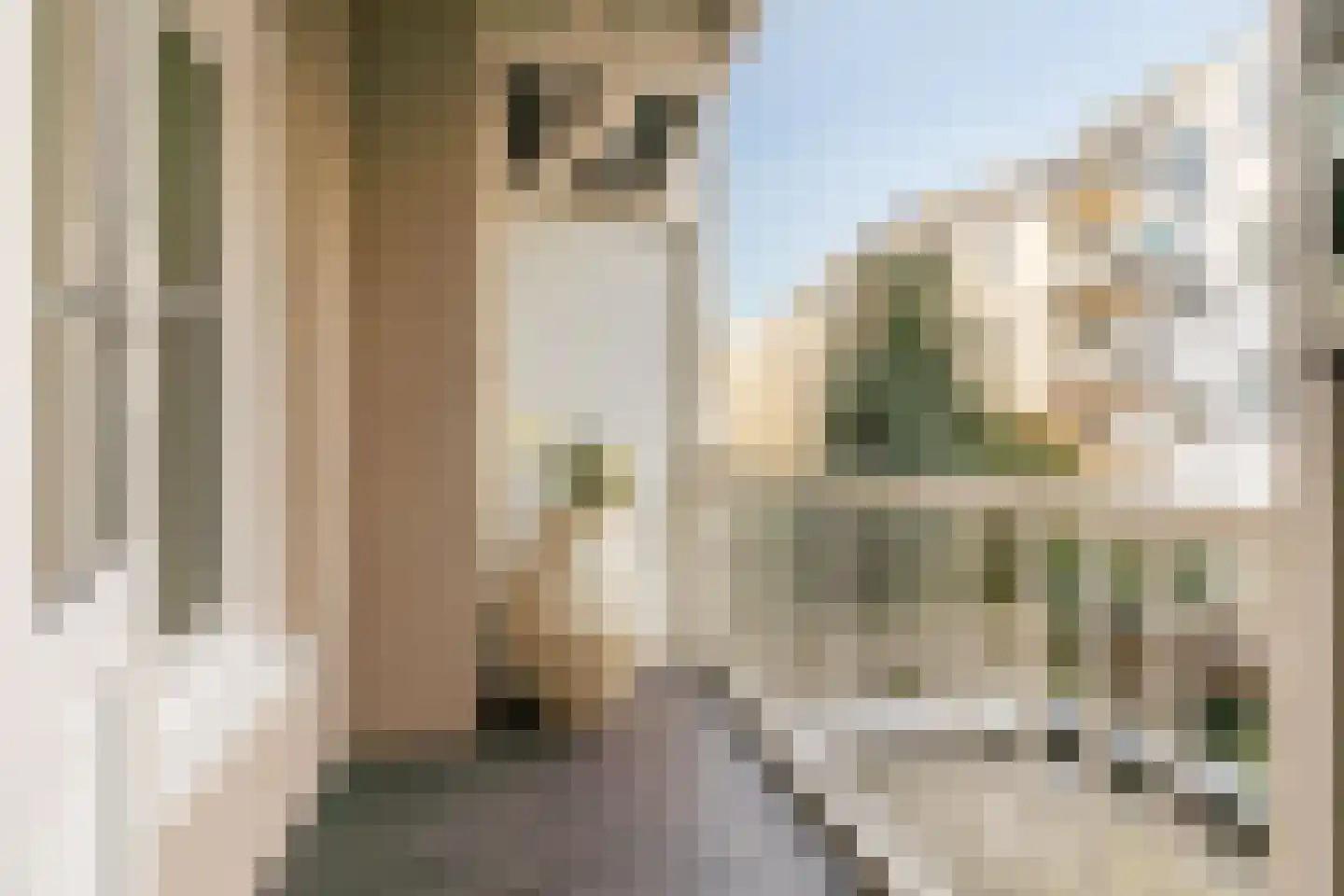 Bentinckstraat 31 A Amsterdam thumbnail 29