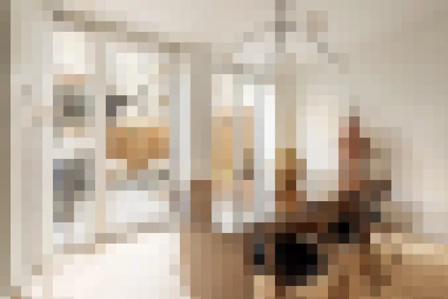 Bentinckstraat 31 A Amsterdam thumbnail 8