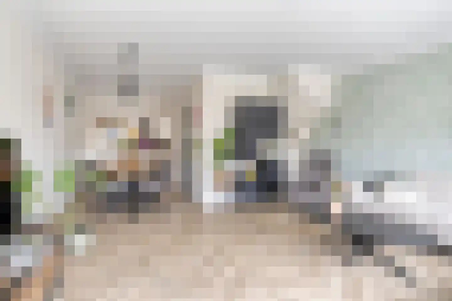 Bentinckstraat 36 Goor thumbnail 15