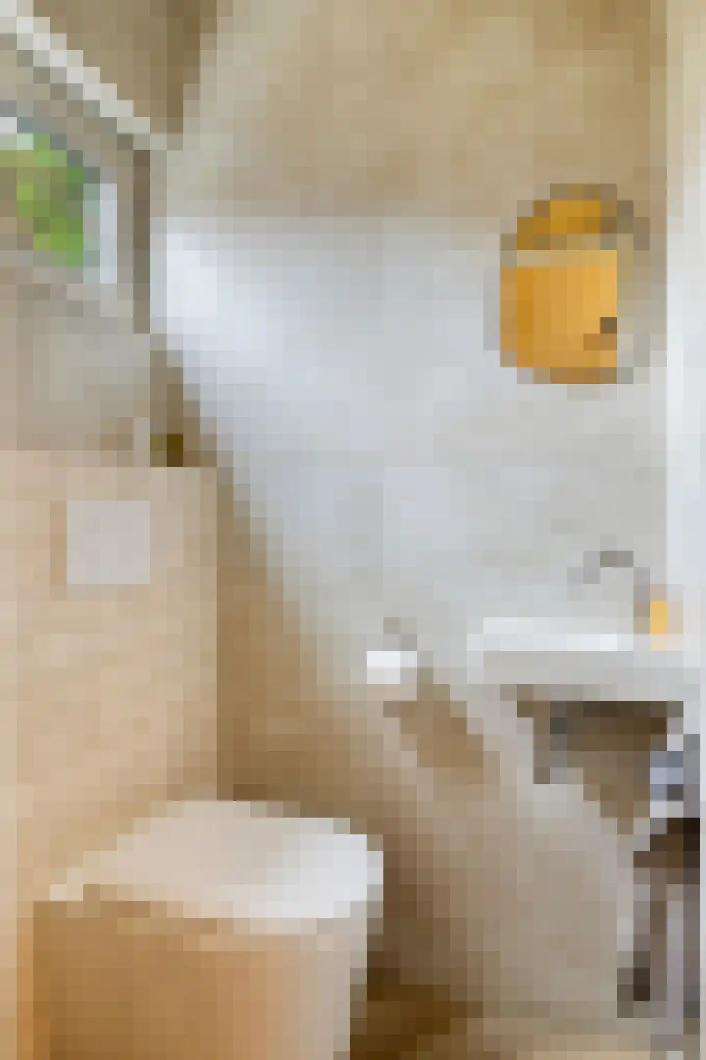 Bentinckstraat 36 Goor thumbnail 27