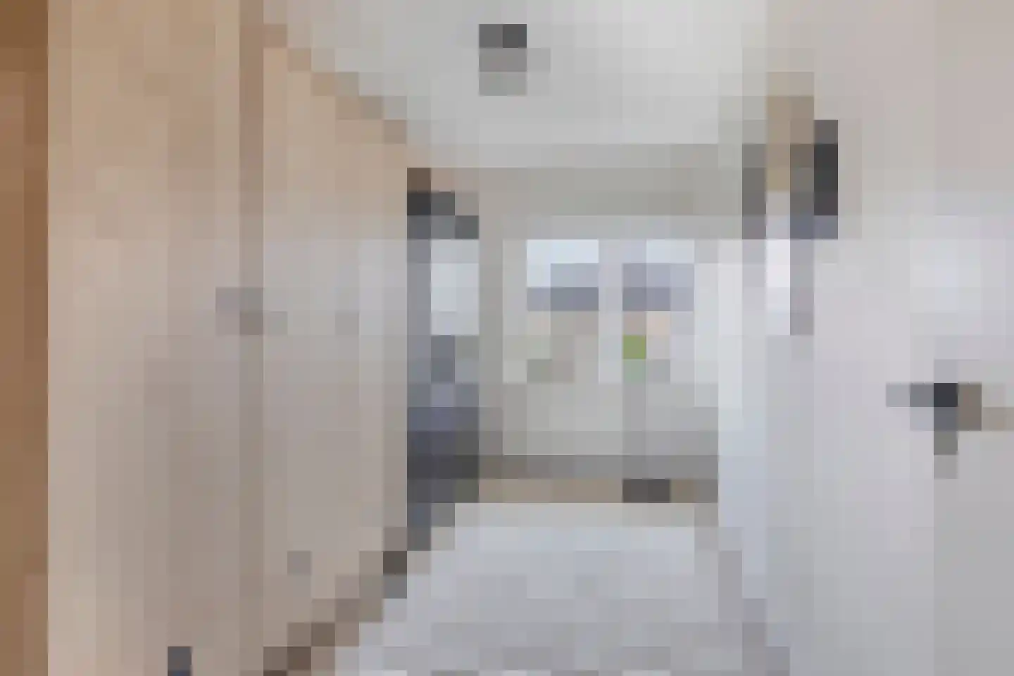 Bentinckstraat 36 Goor thumbnail 34
