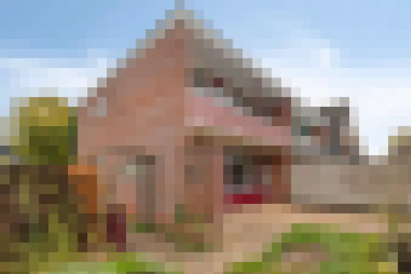 Bentinckstraat 41 Lichtenvoorde thumbnail 27