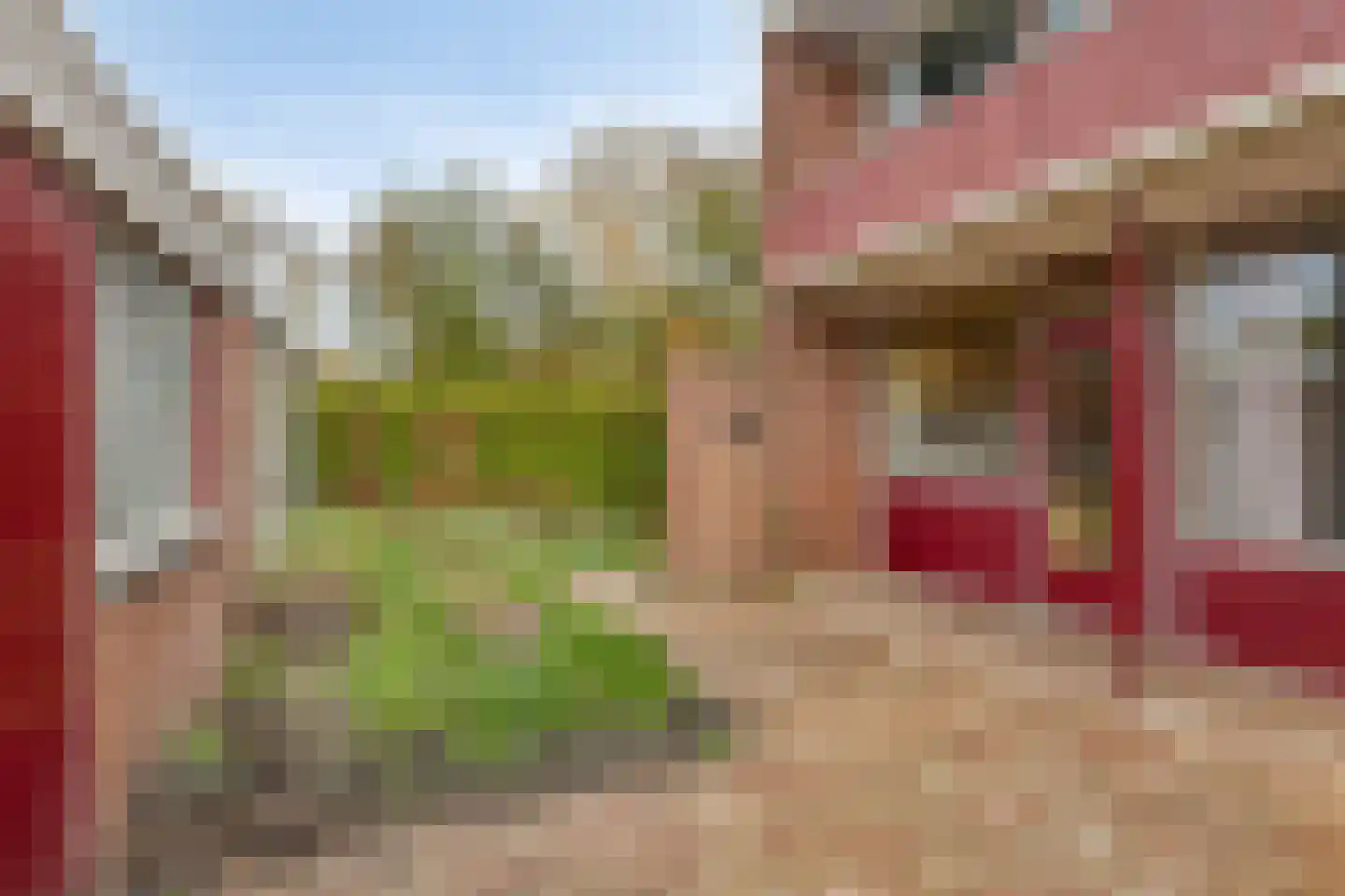 Bentinckstraat 41 Lichtenvoorde thumbnail 29