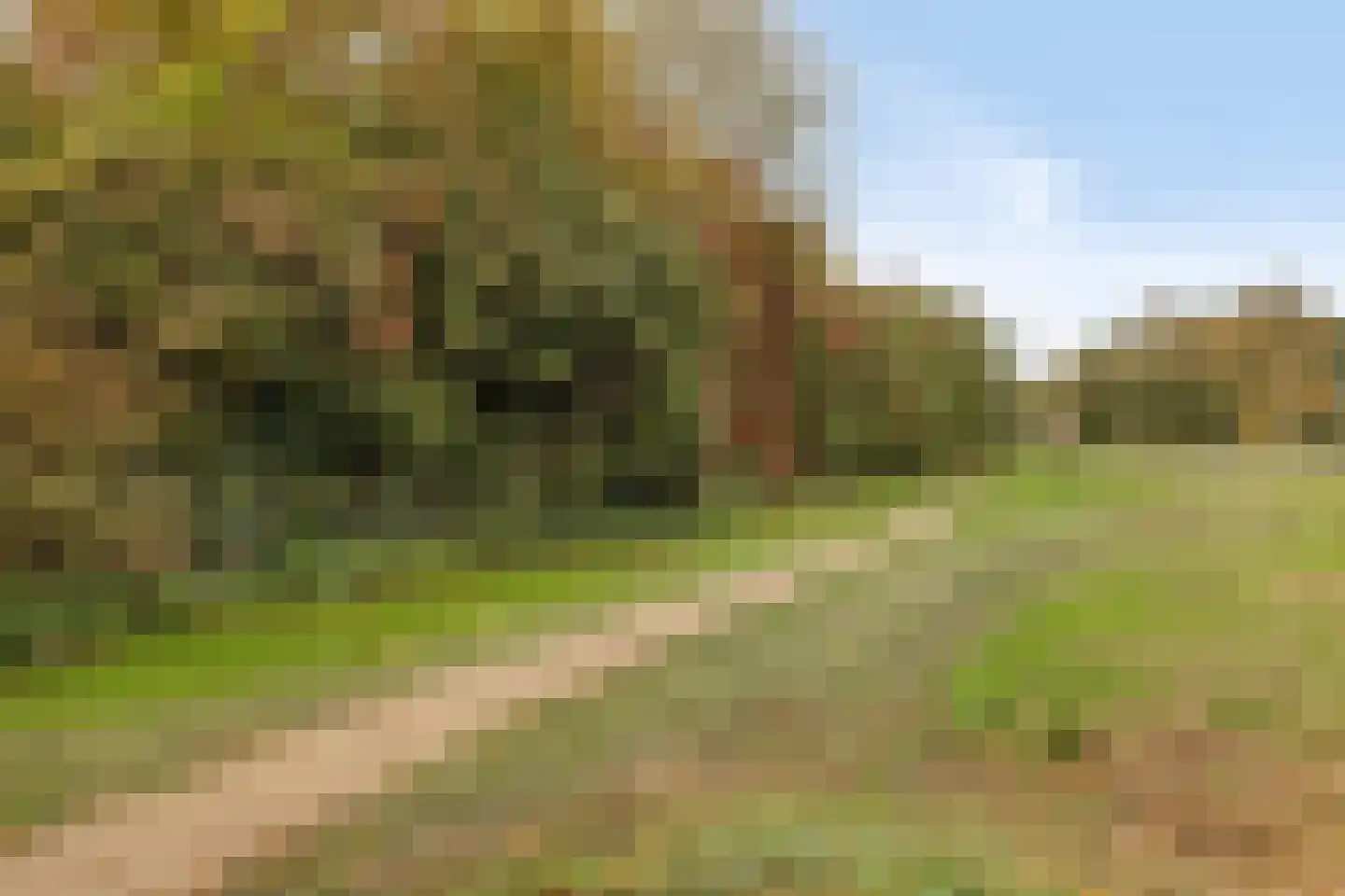 Bentinckstraat 41 Lichtenvoorde thumbnail 36