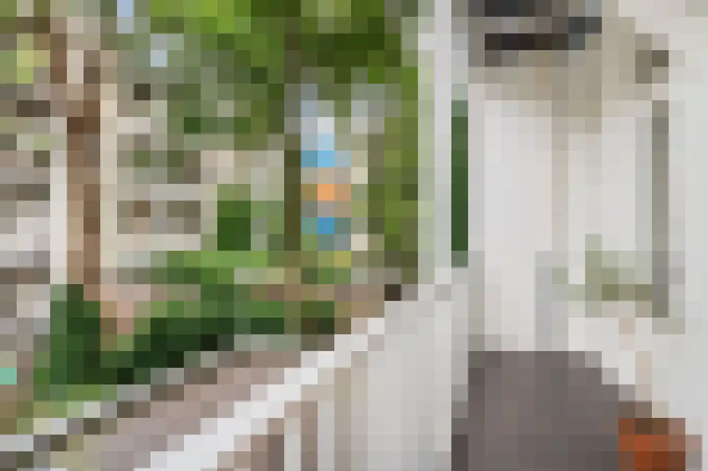 Bentinckstraat 48 1 Amsterdam thumbnail 20
