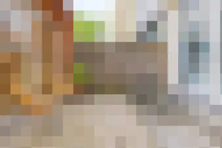 Bentinckstraat 49 2 Amsterdam thumbnail 22