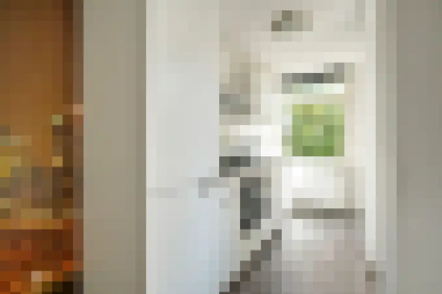 Bentinckstraat 5 2 Amsterdam thumbnail 5