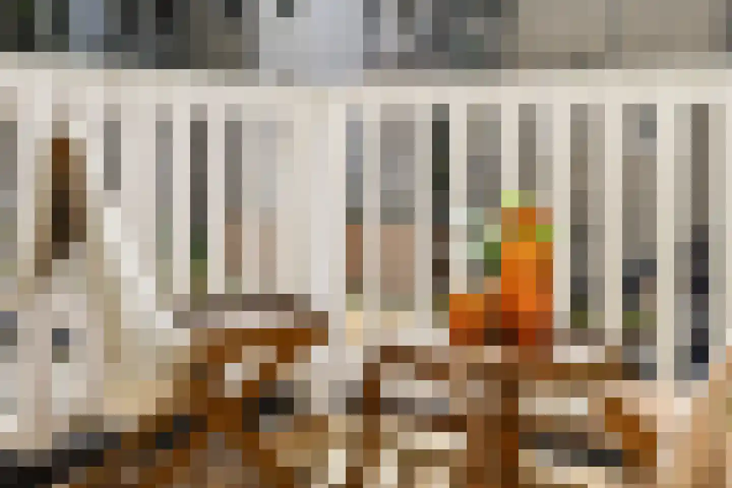Bentinckstraat 51 1 Amsterdam thumbnail 13