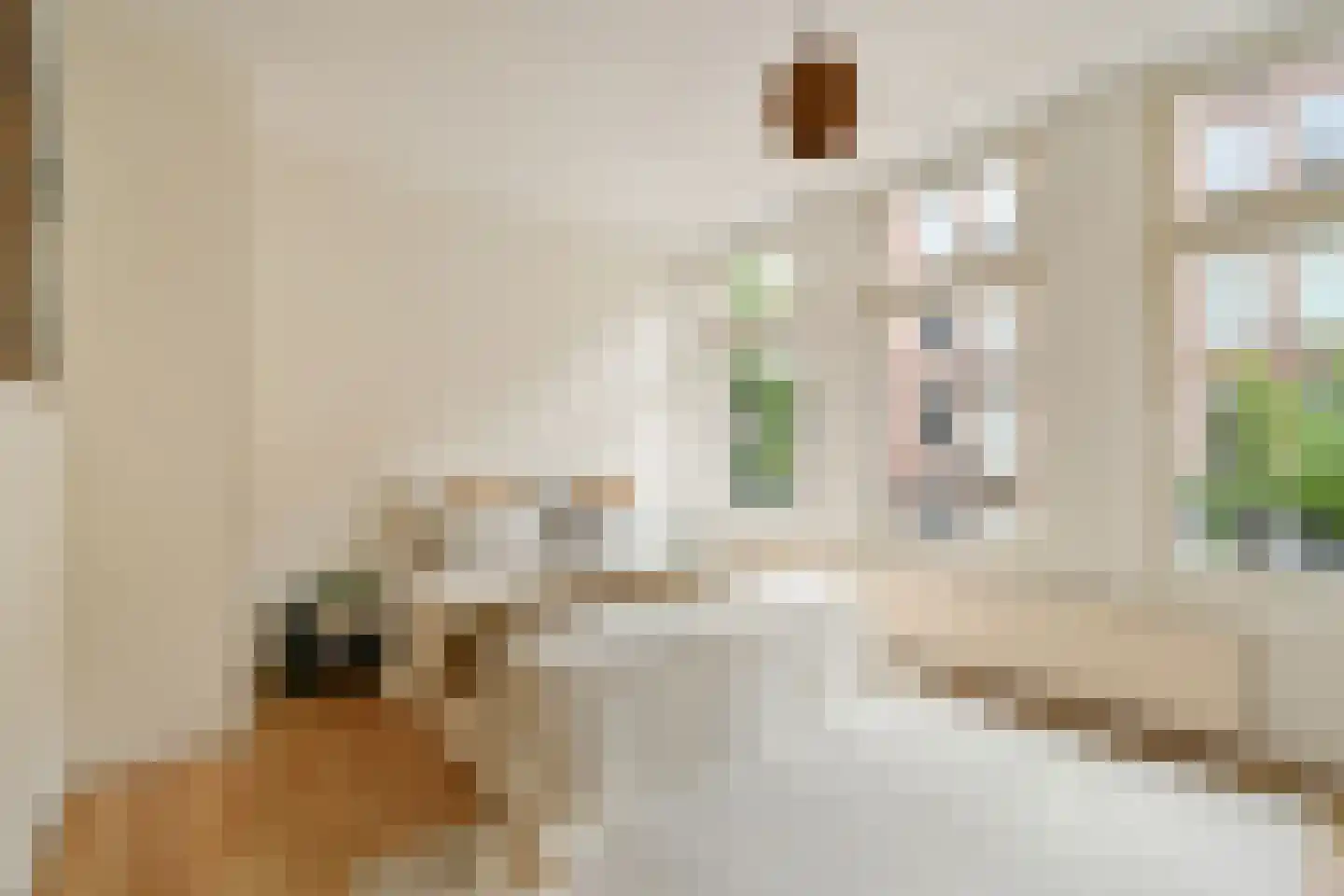 Bentinckstraat 51 1 Amsterdam thumbnail 17