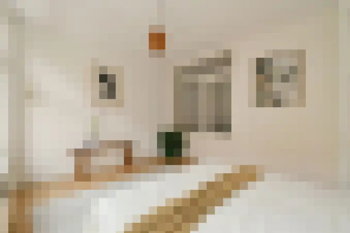 Bentinckstraat 51 1 Amsterdam thumbnail 18