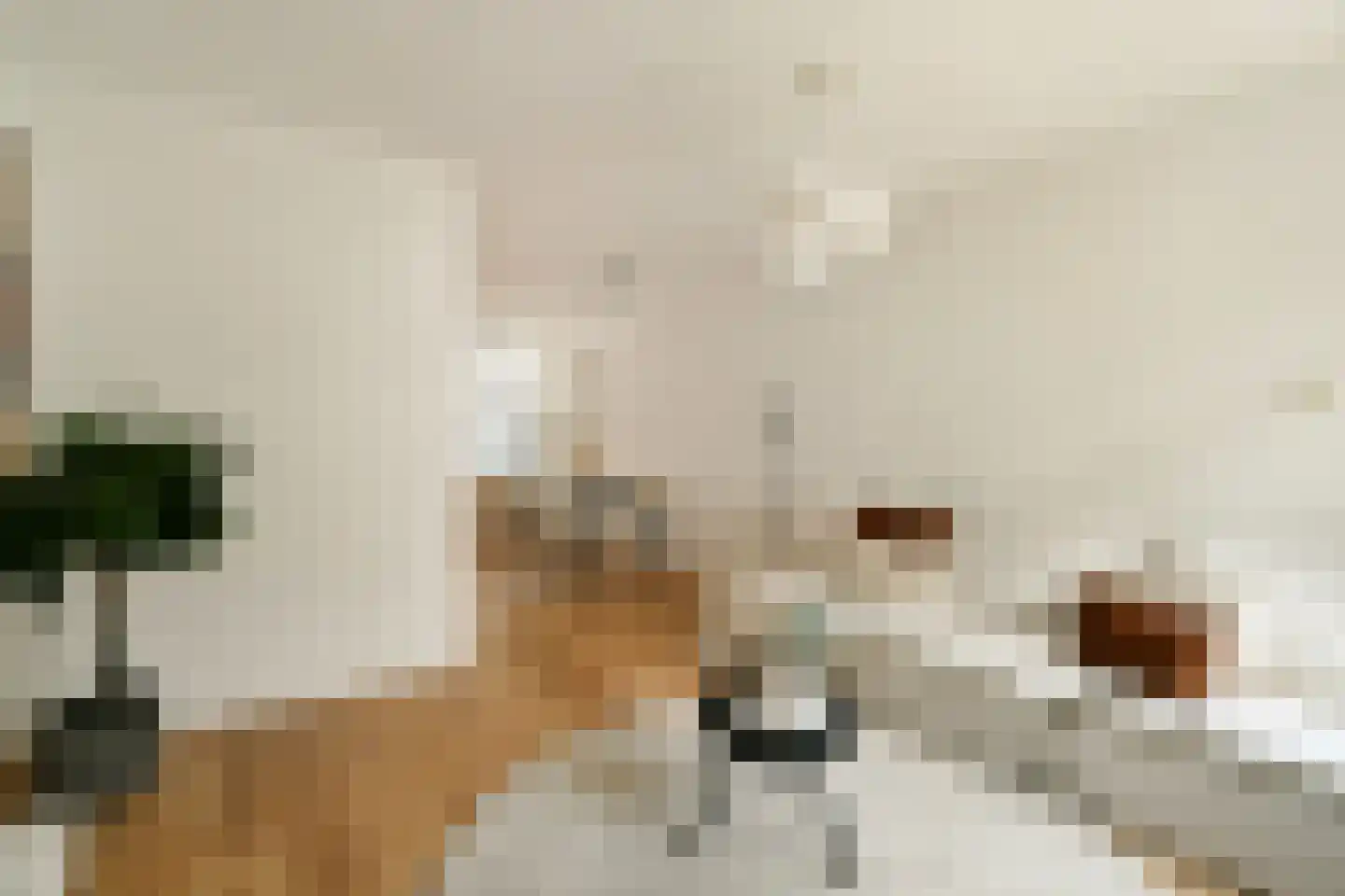 Bentinckstraat 51 1 Amsterdam thumbnail 7