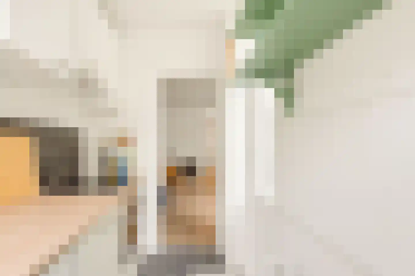 Bentinckstraat 51 2 Amsterdam thumbnail 10