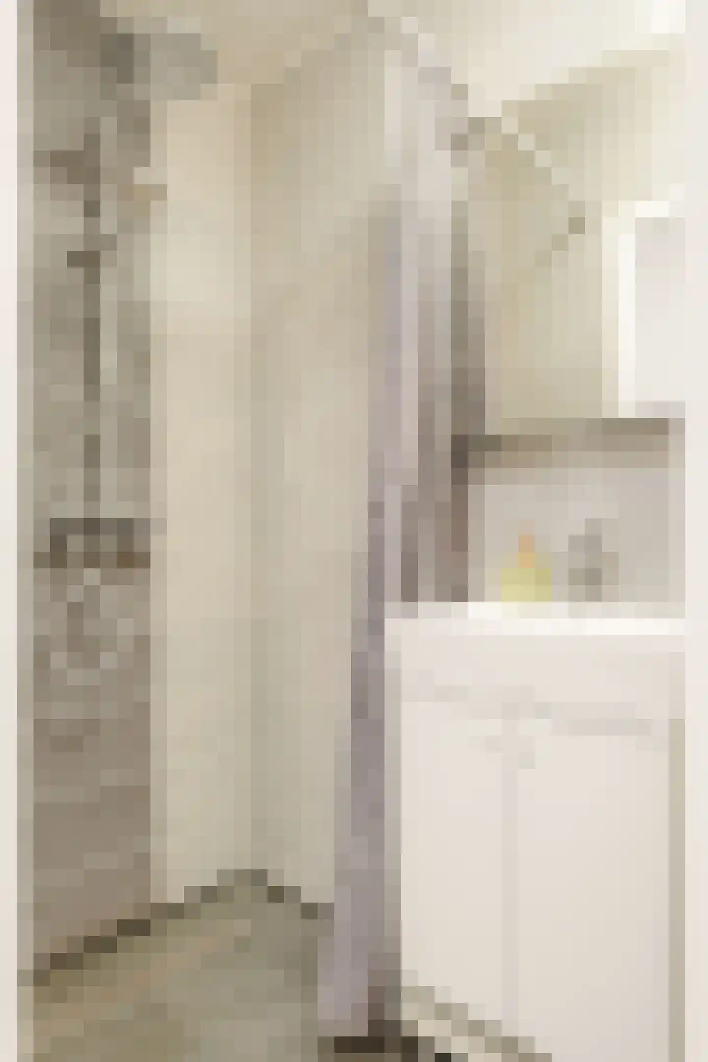 Bentinckstraat 51 2 Amsterdam thumbnail 17