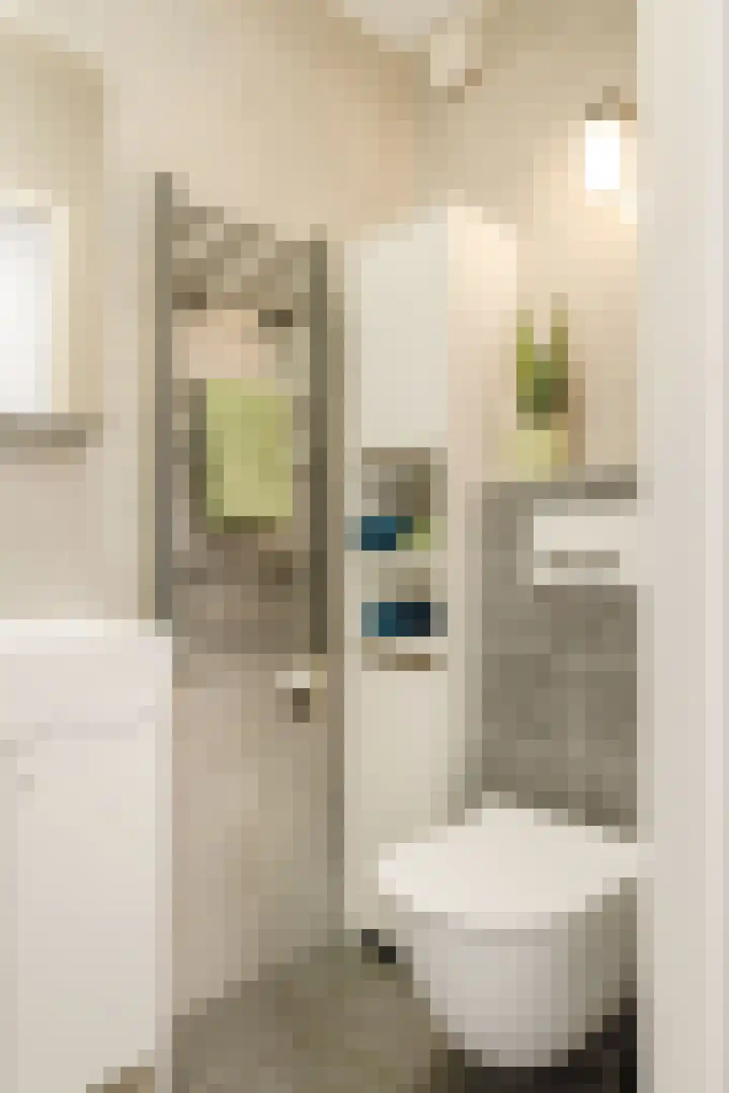 Bentinckstraat 51 2 Amsterdam thumbnail 18