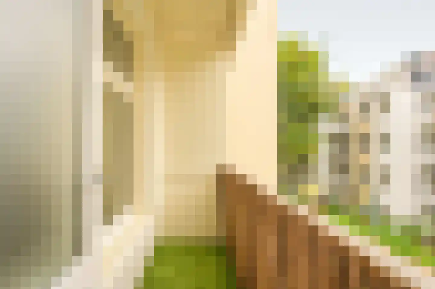 Bentinckstraat 51 2 Amsterdam thumbnail 20