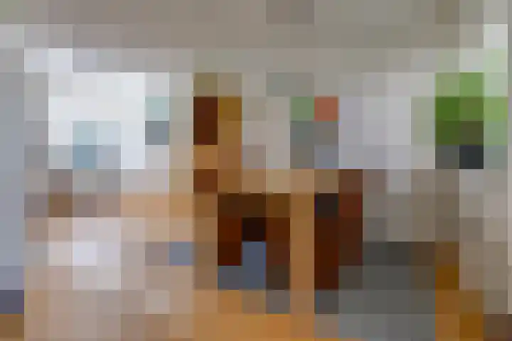 Bentlagestraat 1 c Ter Apel thumbnail 11