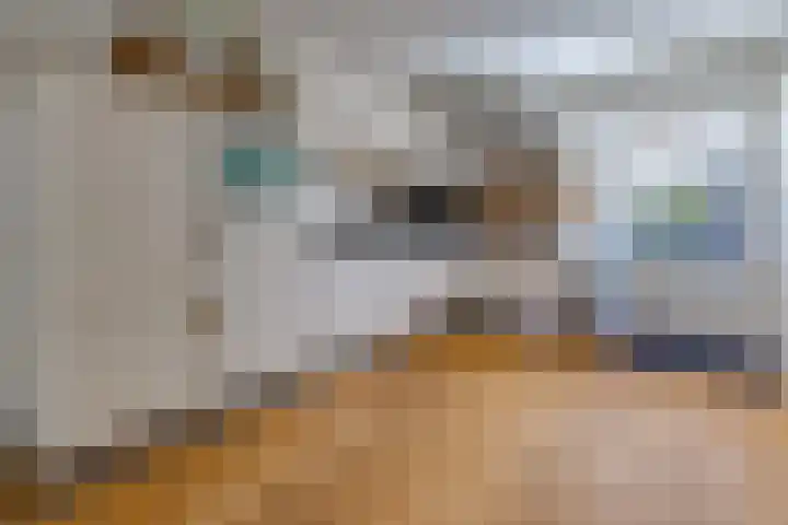Bentlagestraat 1 c Ter Apel thumbnail 12