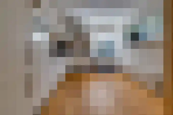 Bentlagestraat 1 c Ter Apel thumbnail 13