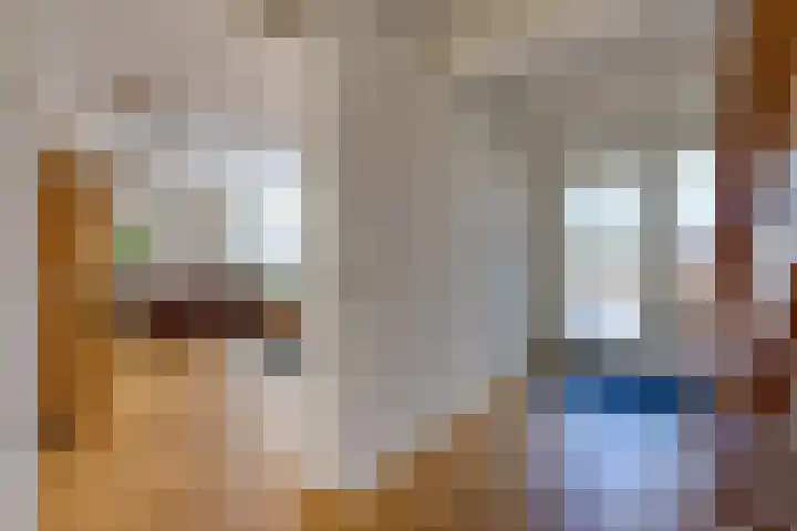 Bentlagestraat 1 c Ter Apel thumbnail 17