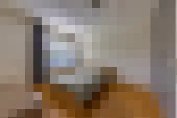 Bentlagestraat 1 c Ter Apel thumbnail 18