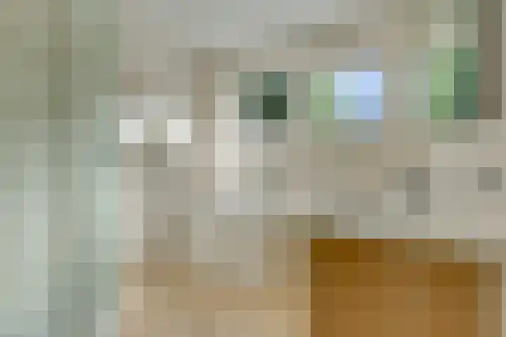 Bentlagestraat 1 c Ter Apel thumbnail 20