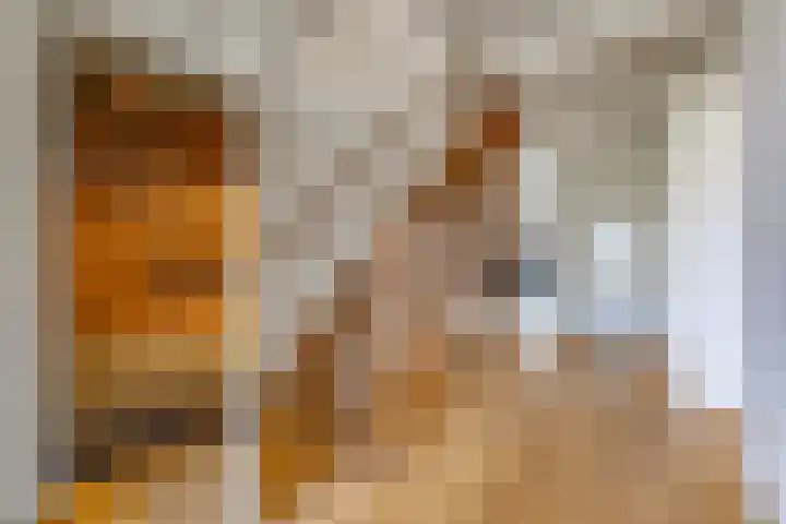 Bentlagestraat 1 c Ter Apel thumbnail 23