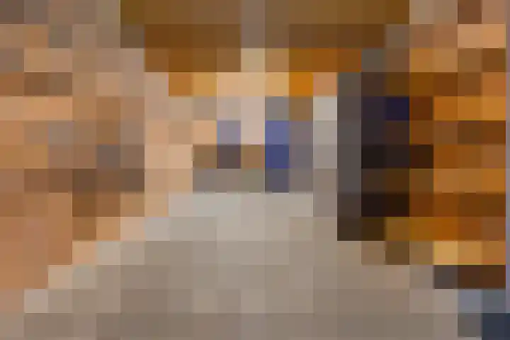 Bentlagestraat 1 c Ter Apel thumbnail 24