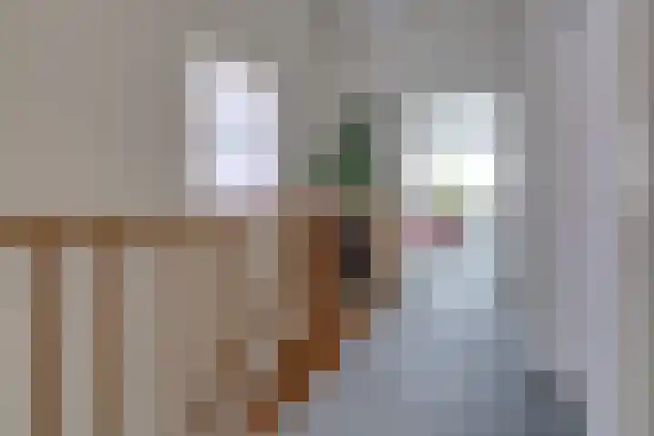 Bentlagestraat 1 c Ter Apel thumbnail 26