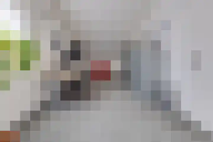 Bentlagestraat 1 c Ter Apel thumbnail 27