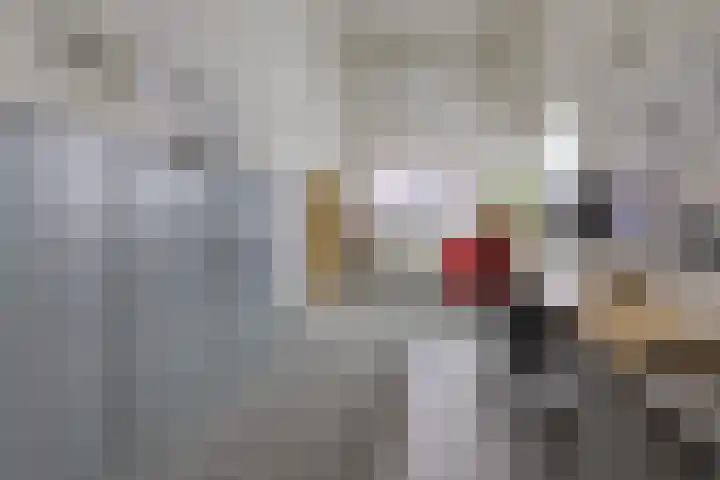 Bentlagestraat 1 c Ter Apel thumbnail 28