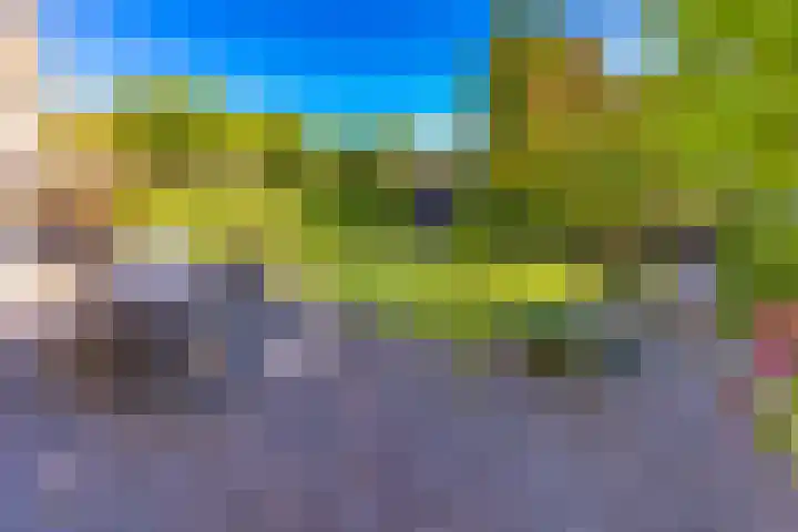 Bentlagestraat 1 c Ter Apel thumbnail 36