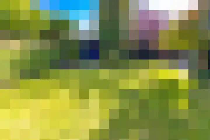 Bentlagestraat 1 c Ter Apel thumbnail 37