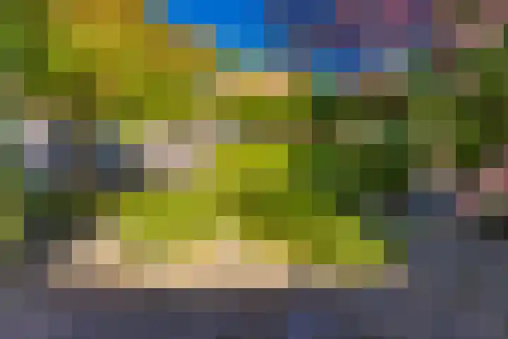 Bentlagestraat 1 c Ter Apel thumbnail 40