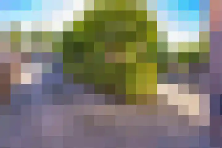 Bentlagestraat 1 c Ter Apel thumbnail 41