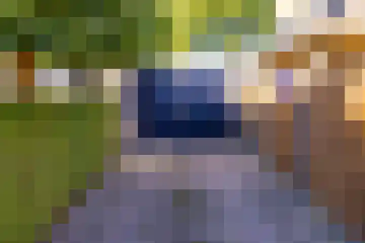 Bentlagestraat 1 c Ter Apel thumbnail 42