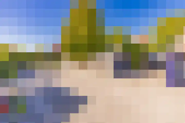Bentlagestraat 1 c Ter Apel thumbnail 43