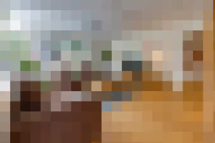Bentlagestraat 1 c Ter Apel thumbnail 8