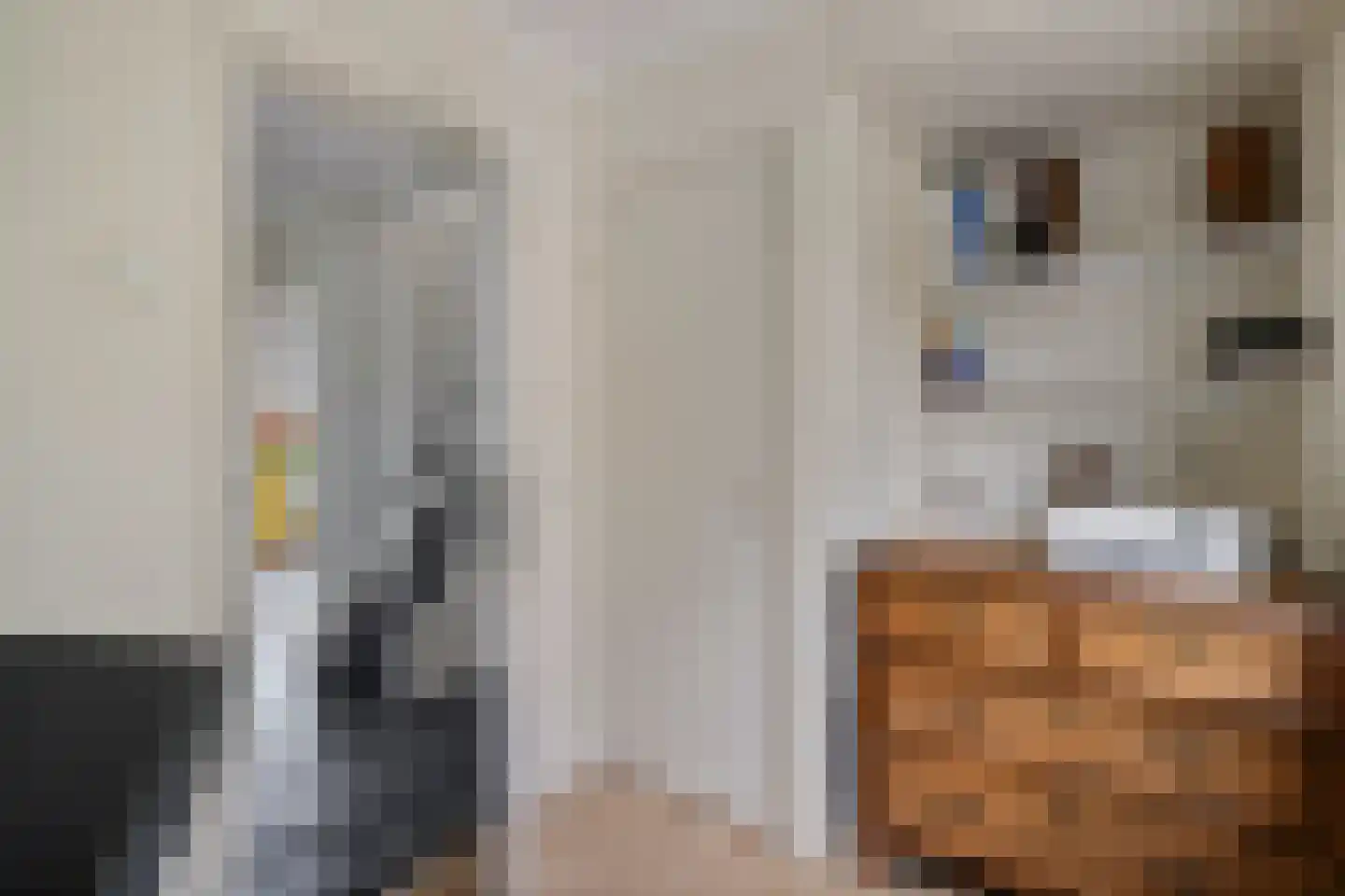 Bentlagestraat 18 Ter Apel thumbnail 14