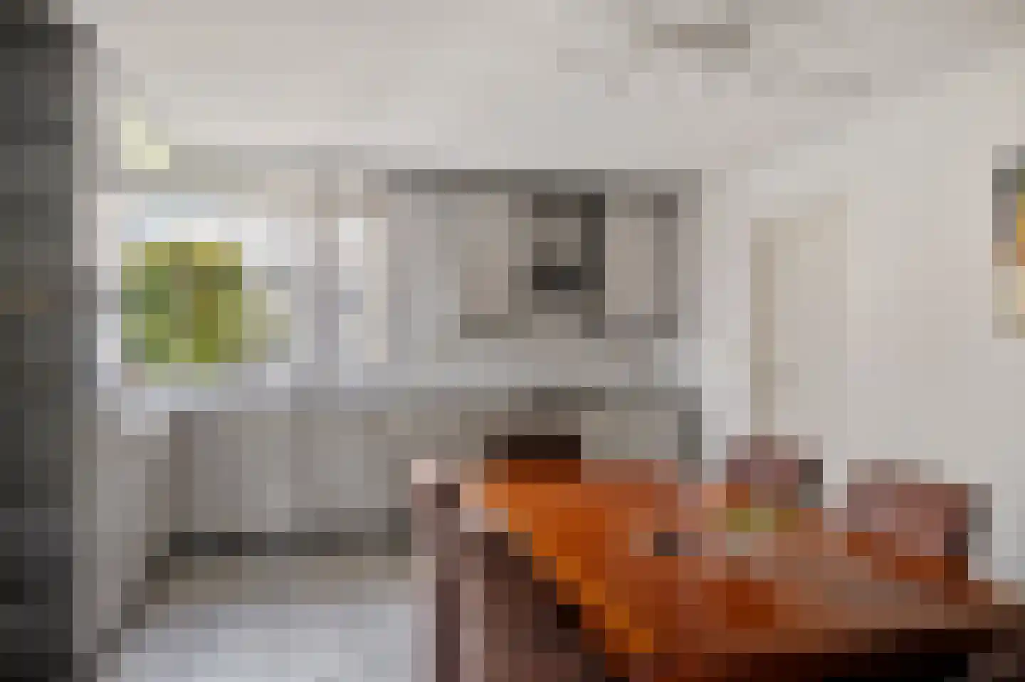 Bentlagestraat 18 Ter Apel thumbnail 16