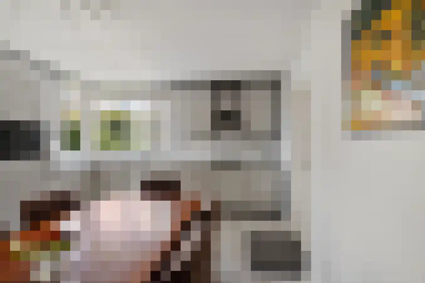 Bentlagestraat 18 Ter Apel thumbnail 17