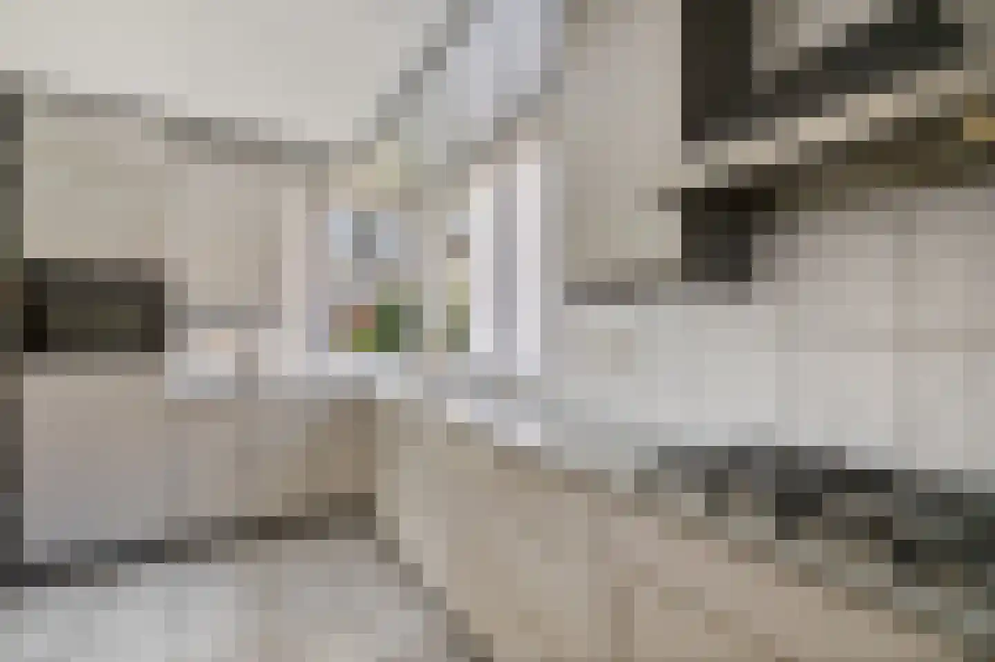 Bentlagestraat 18 Ter Apel thumbnail 18