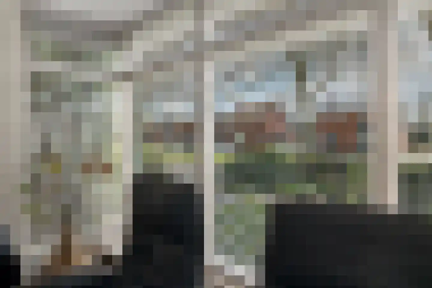 Bentlagestraat 18 Ter Apel thumbnail 24