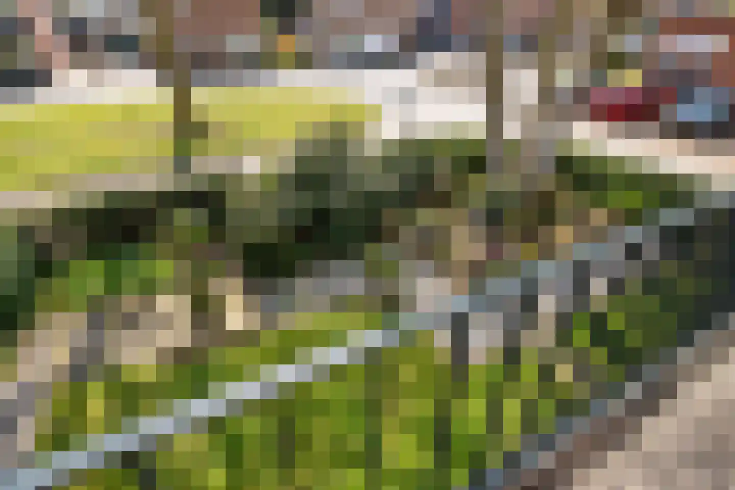Bentlagestraat 18 Ter Apel thumbnail 26