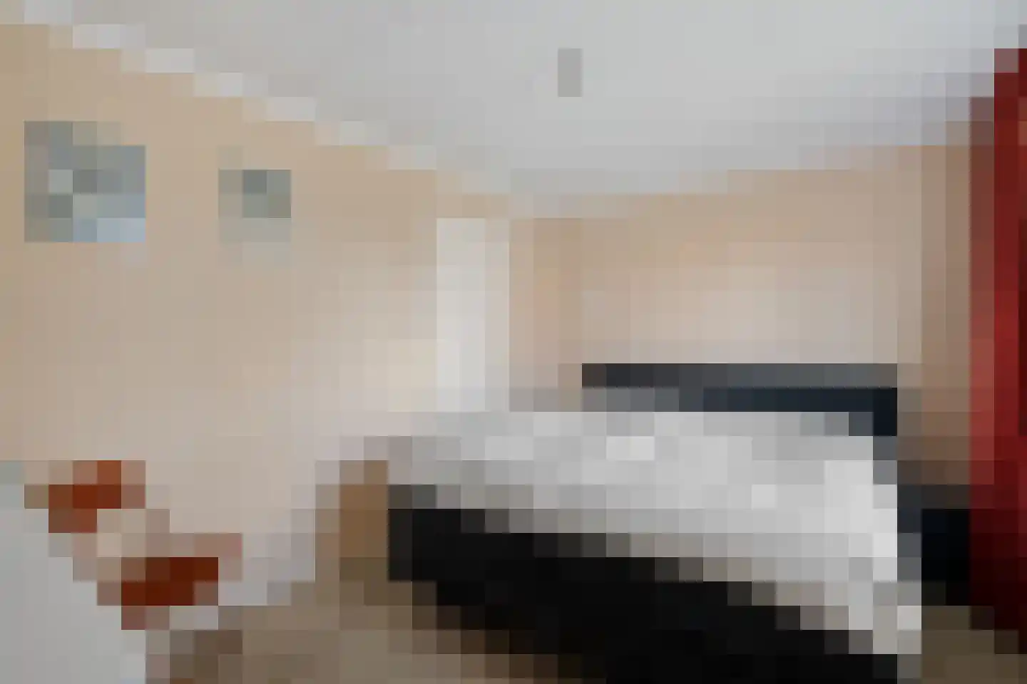 Bentlagestraat 18 Ter Apel thumbnail 29