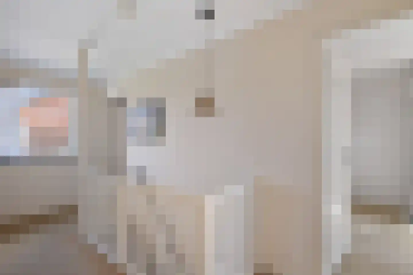 Bentlagestraat 18 Ter Apel thumbnail 37