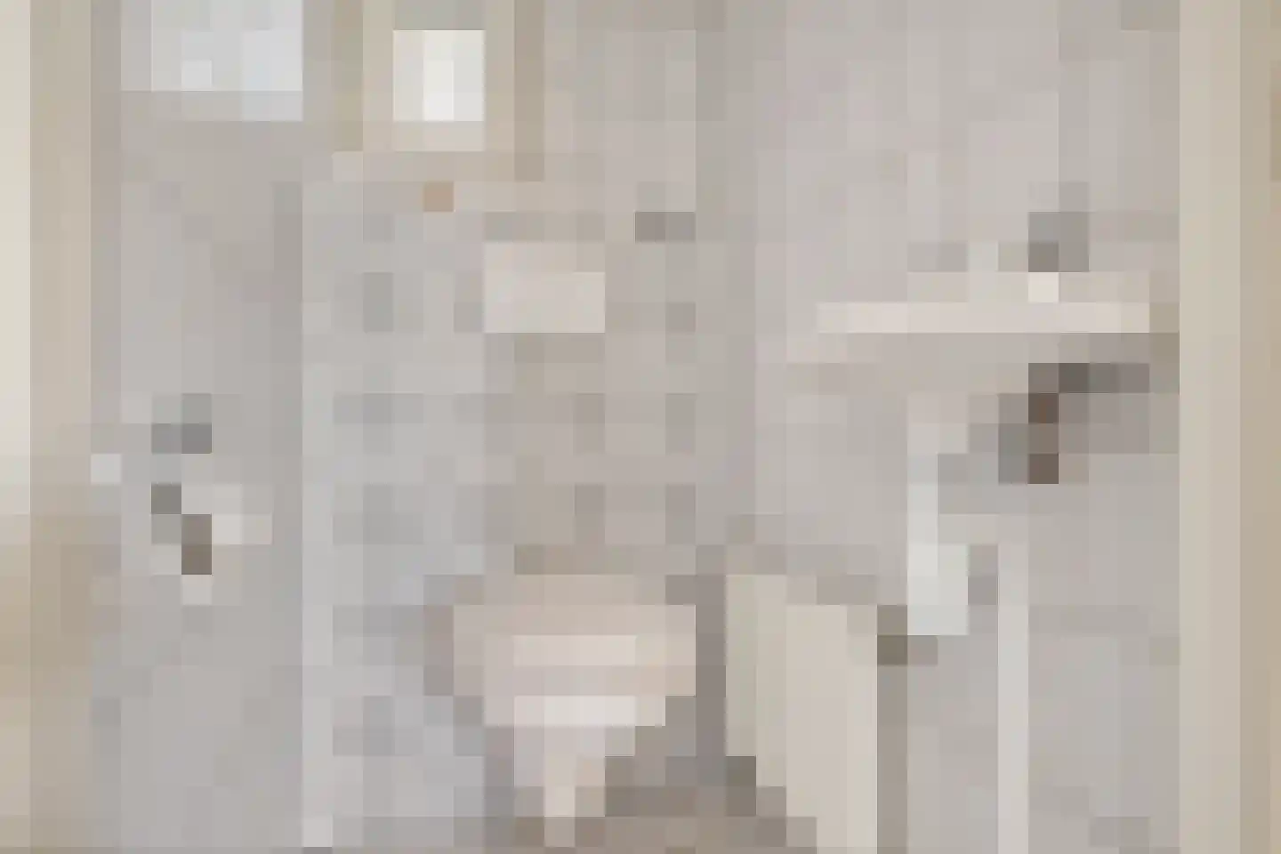 Bentlagestraat 18 Ter Apel thumbnail 39