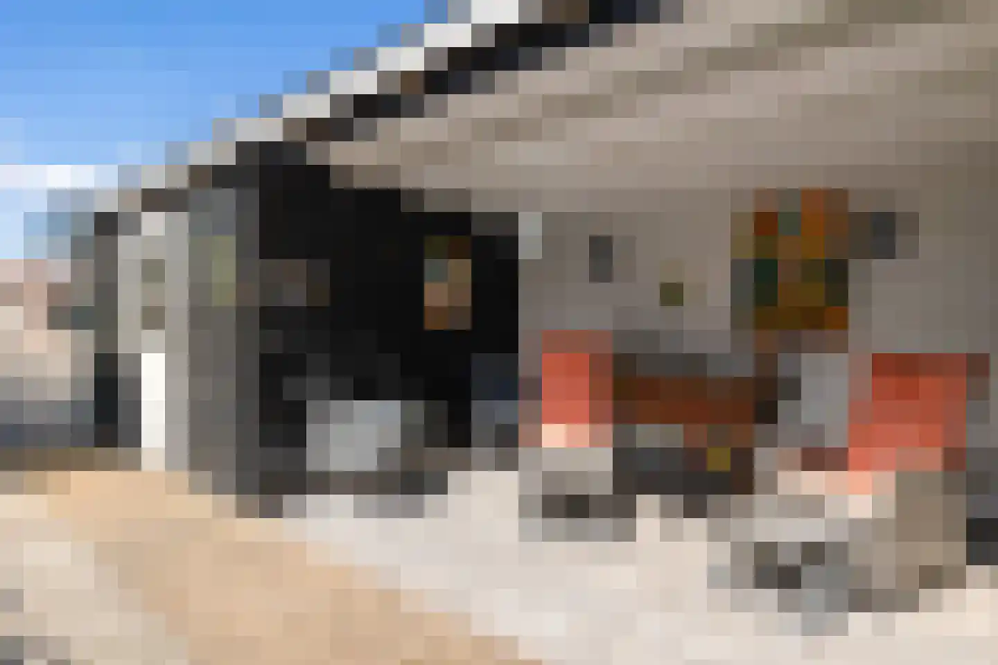 Bentlagestraat 18 Ter Apel thumbnail 42