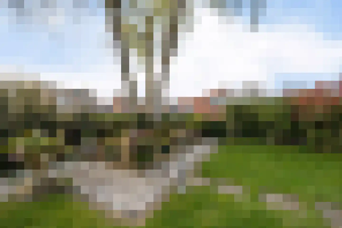 Bentlagestraat 18 Ter Apel thumbnail 8
