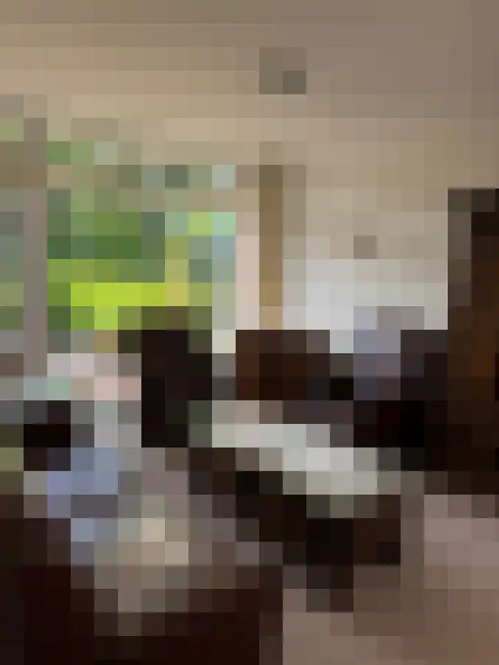 Bentlagestraat 36 Ter Apel thumbnail 14